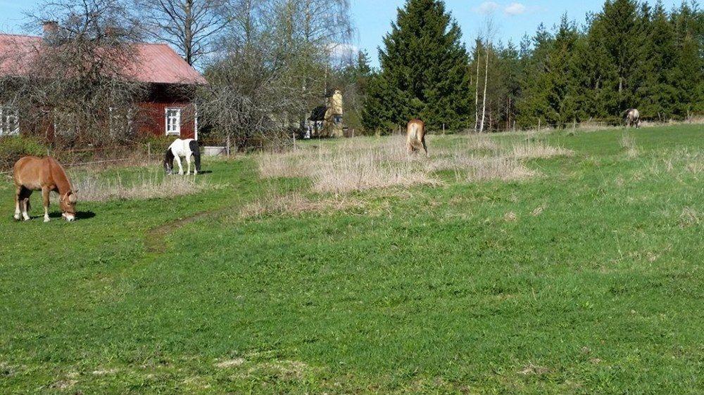 Tuhannen Tarinan Talo Kannuskoski Exterior photo